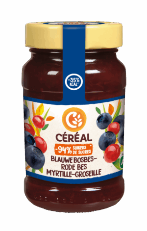 Bosbes-Rodebessenjam