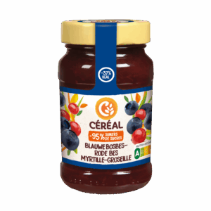 Bosbes-Rodebessenjam