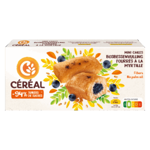 Mini Cakes met Bosbessenvulling