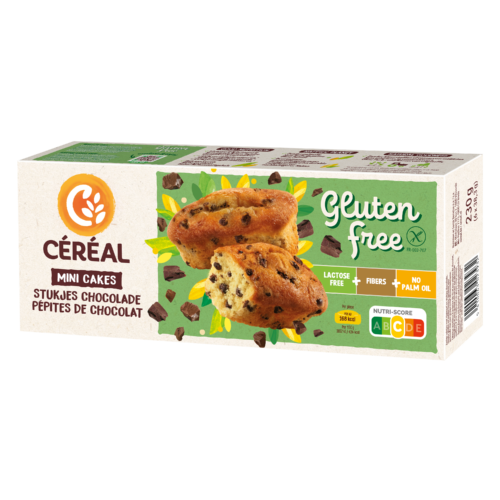 Mini-cakes met stukjes chocolade