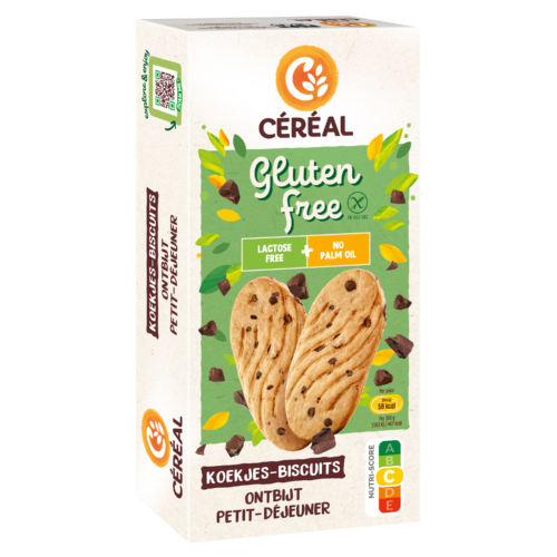 Ontbijtkoekjes met stukjes chocolade