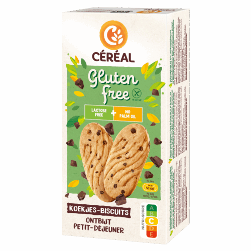 Ontbijtkoekjes met stukjes chocolade