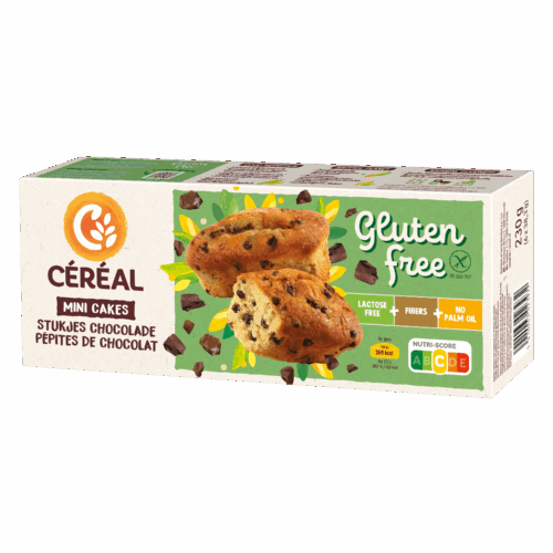 Mini-cakes met stukjes chocolade