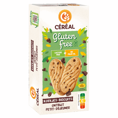 Ontbijtkoekjes met stukjes chocolade