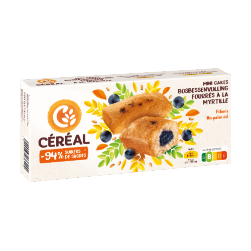 Mini Cakes met Bosbessenvulling