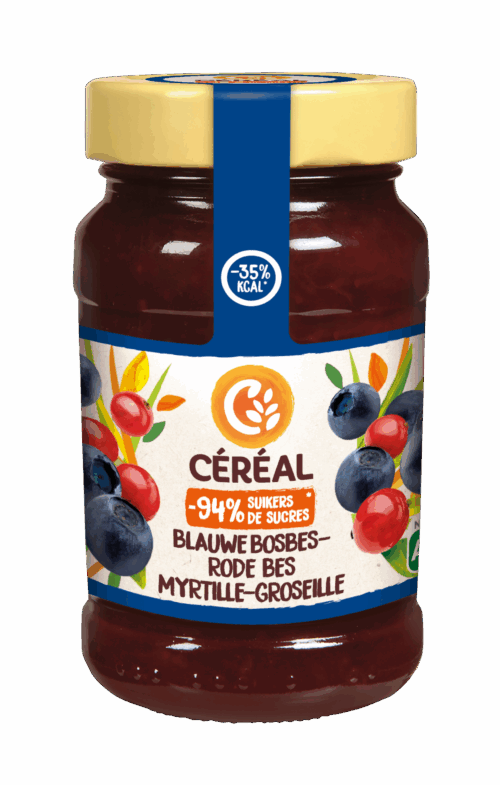 Bosbes-Rodebessenjam