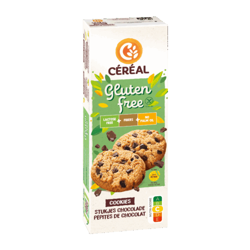 Cookies met Stukjes Chocolade