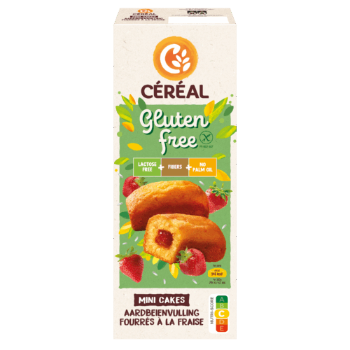 Mini Cakes met Aardbeienvulling