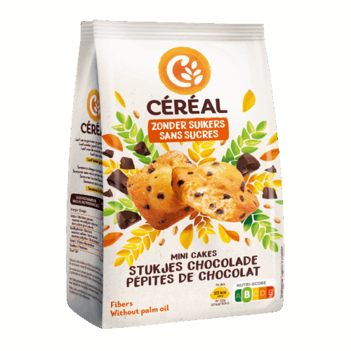 Mini-cakes met stukjes Chocolade